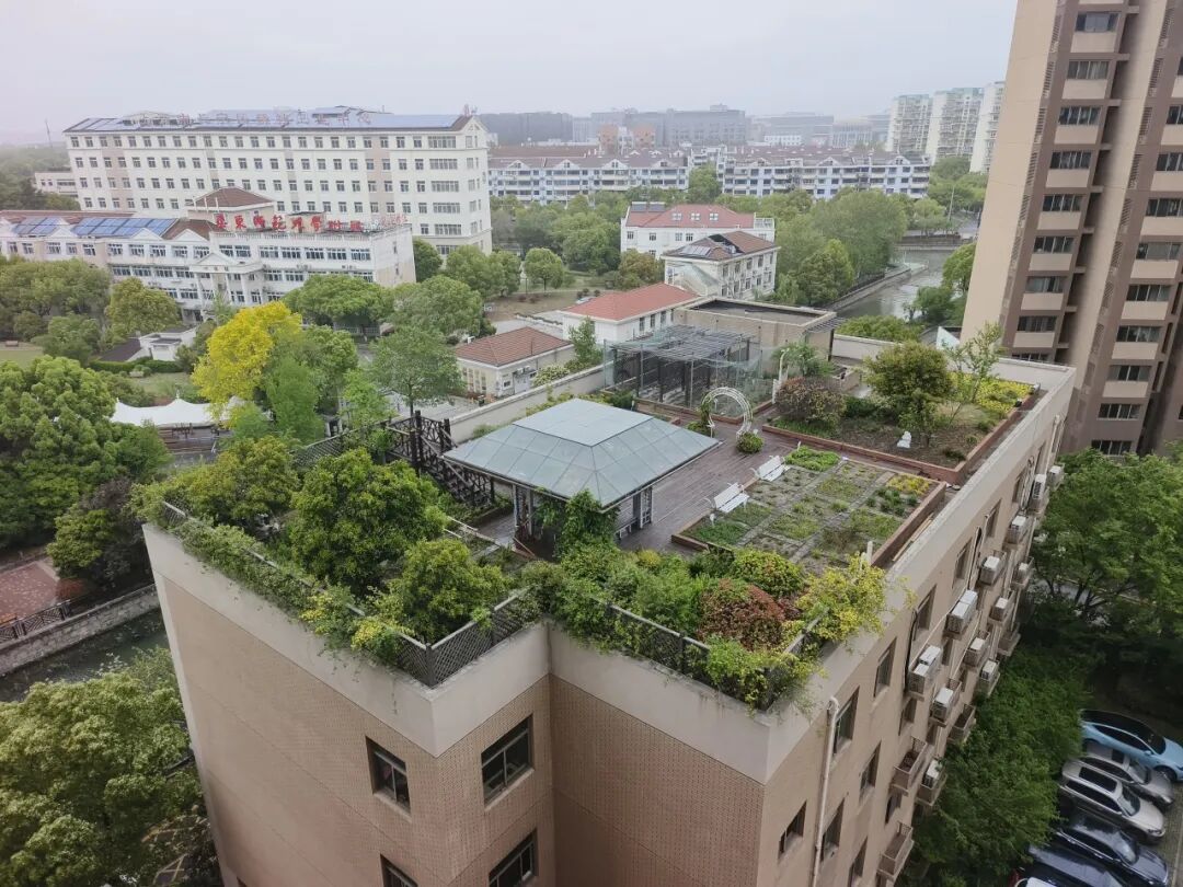 夏播正当时！长宁这个“空中花园”再添新绿