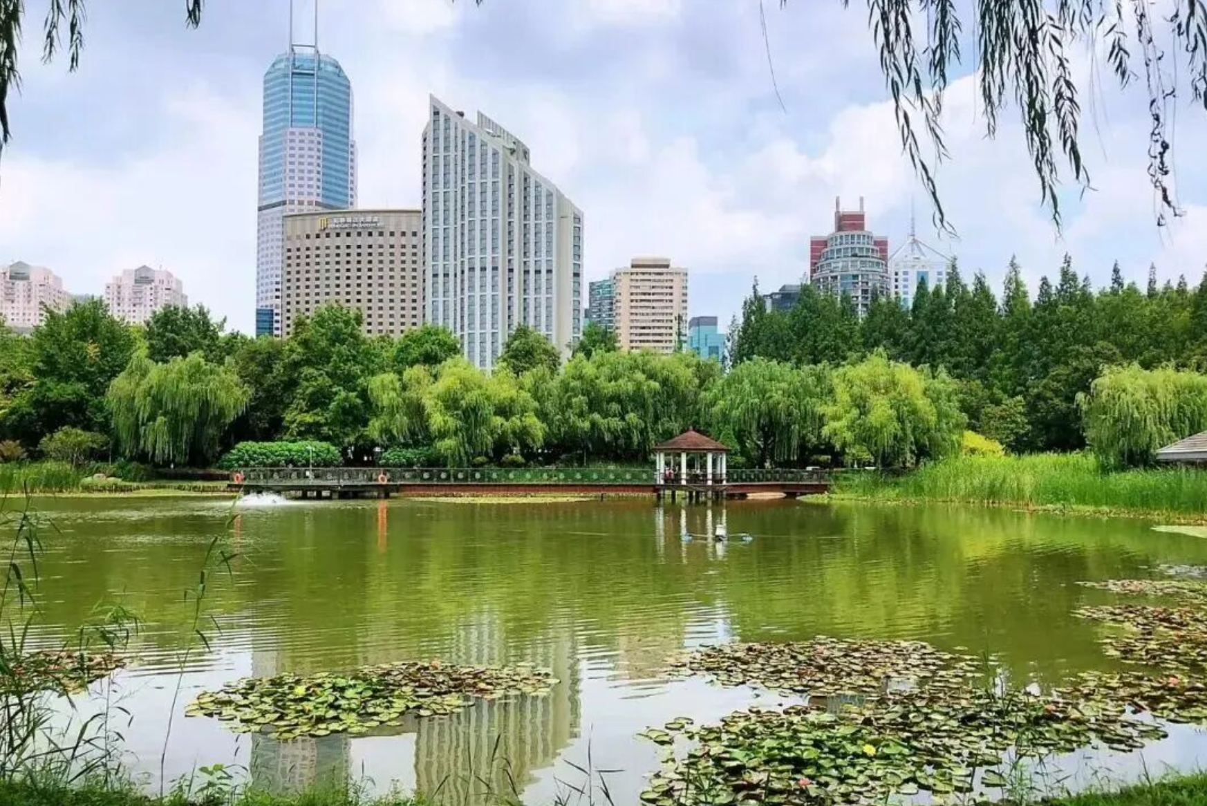 乘着“路面地铁”游长宁，沿途全是好风景
