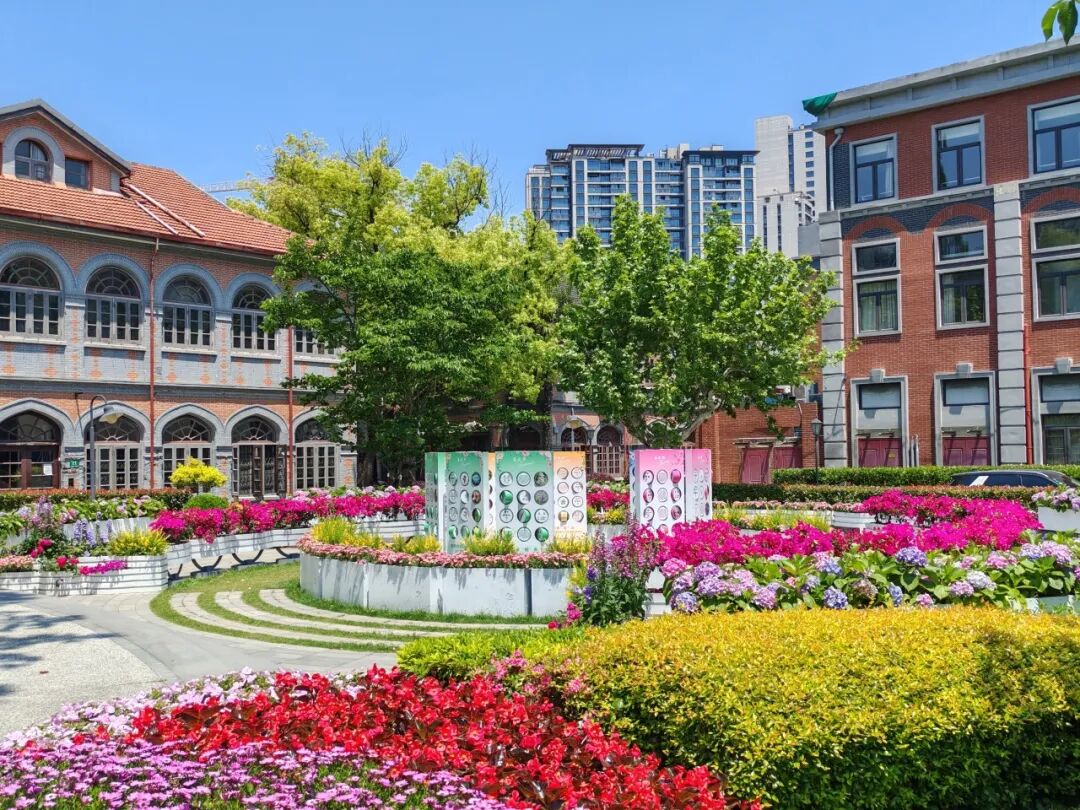 就在华政校园旁这处苏河春日秘境承包你的慢时光