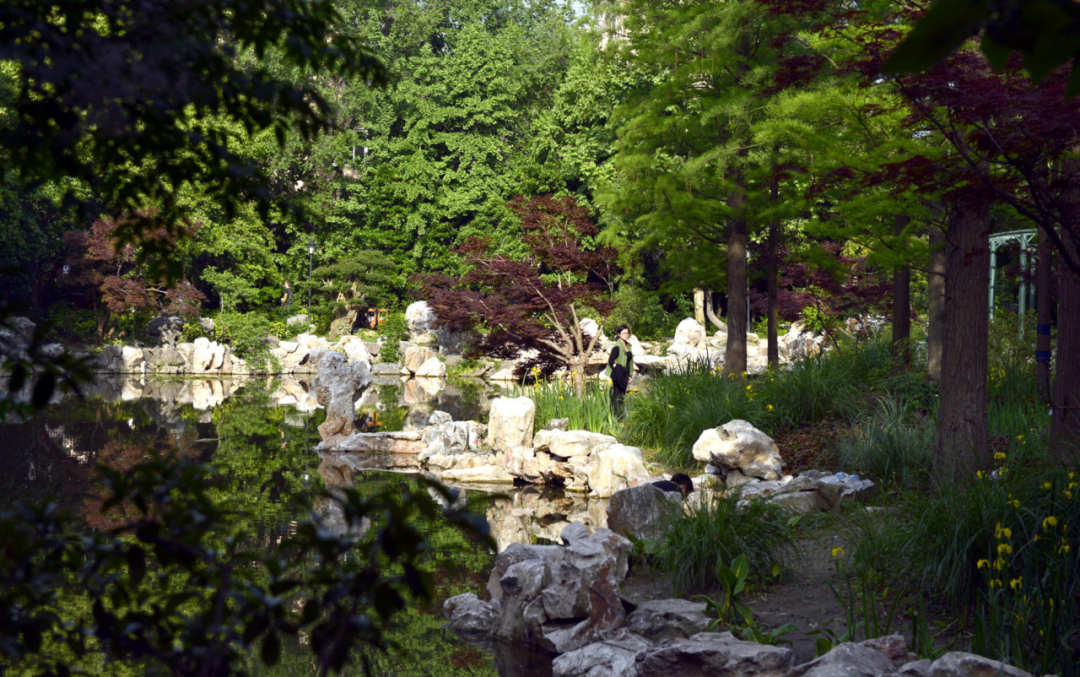 image005.png