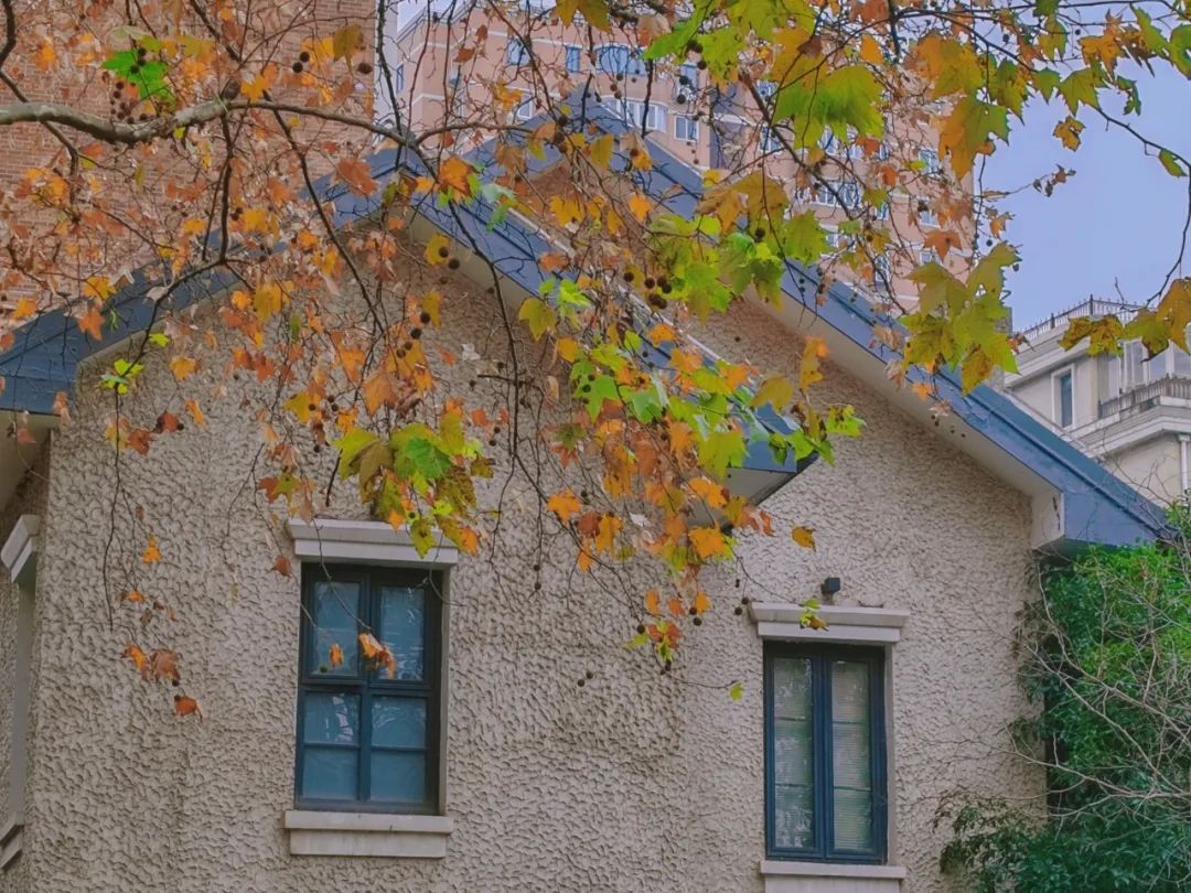 d1e26a1df6aaa422af77a2c21558ae1f