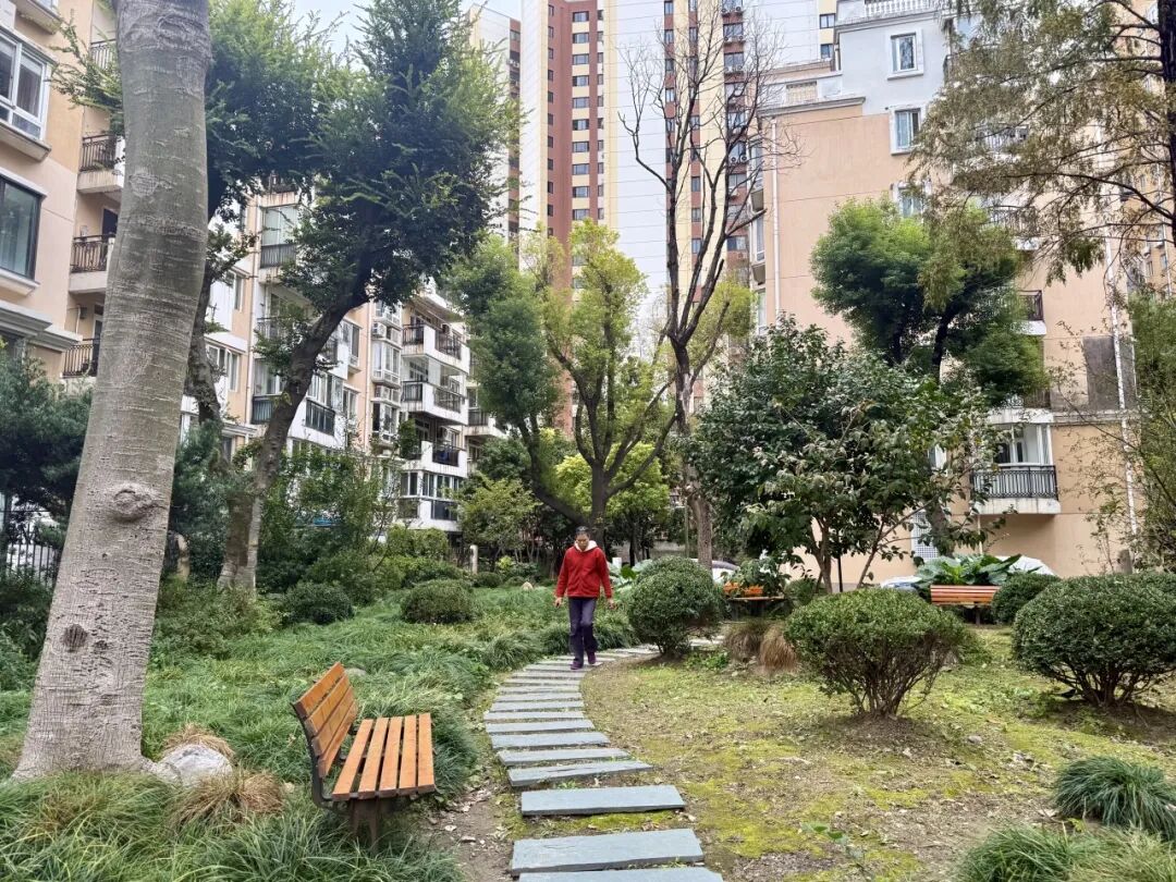 深秋时节，长宁这个老小区居民的笑容比春天还暖