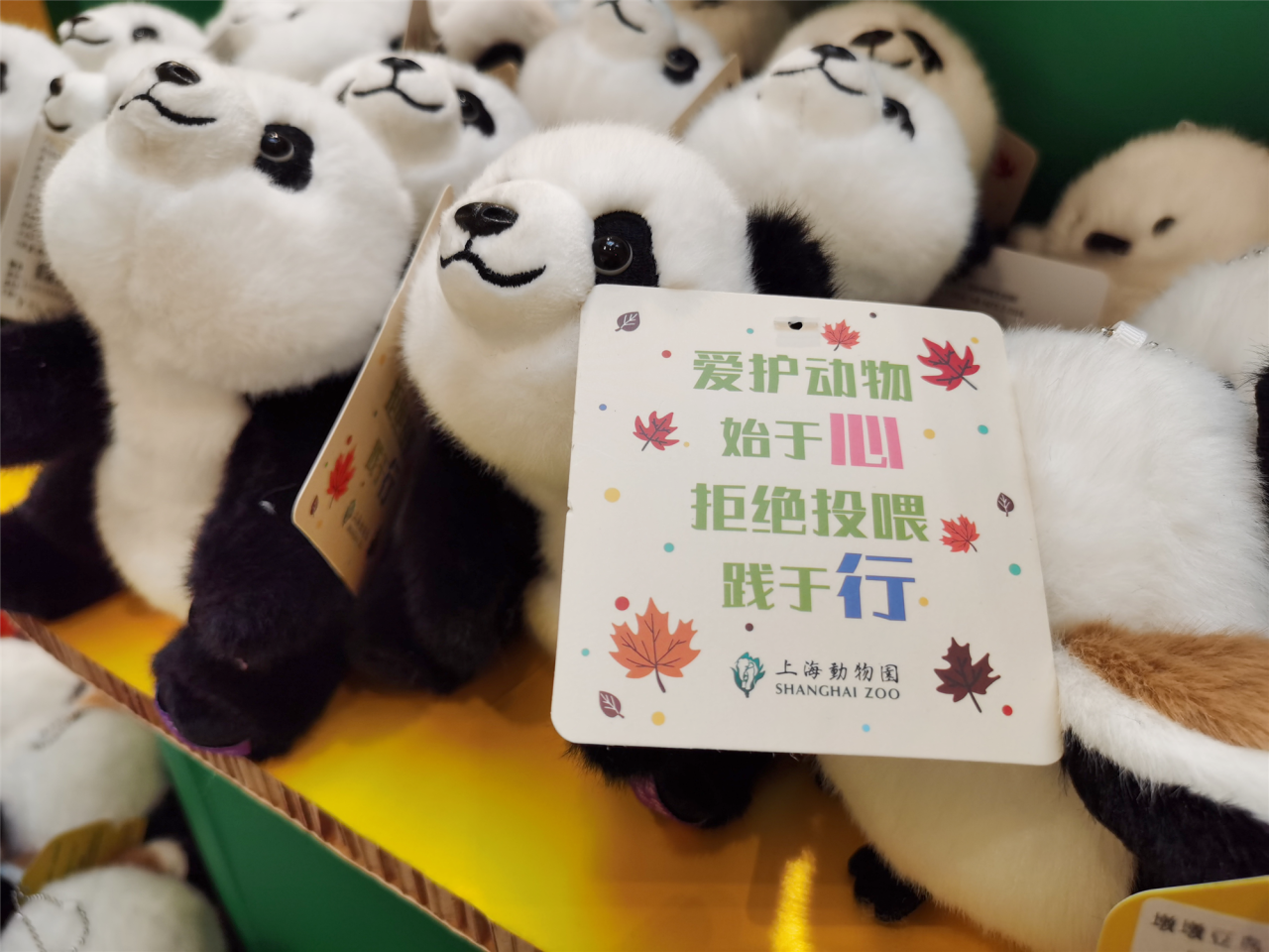 image017.png