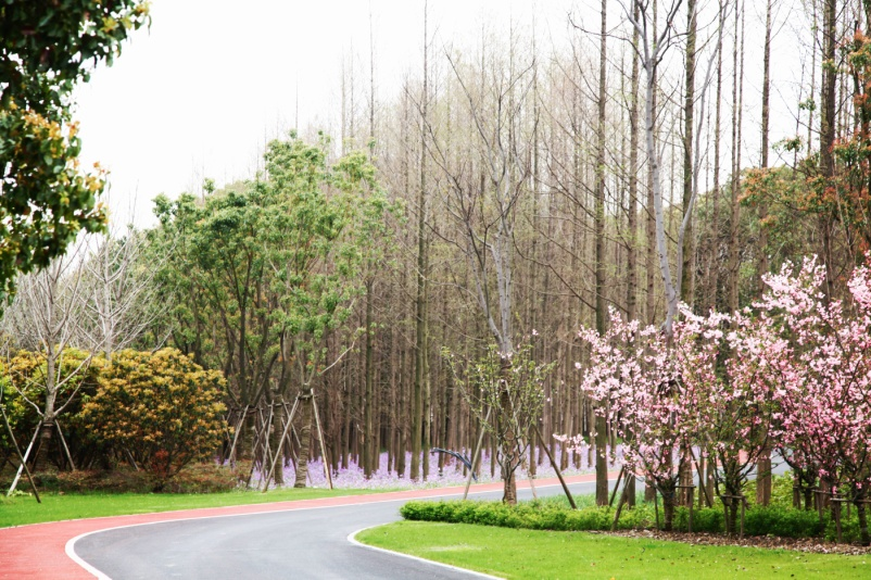 image009.png