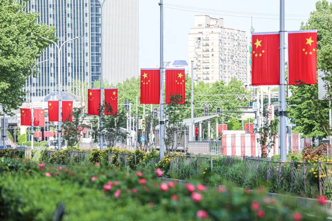 眼下的长宁，满城皆景