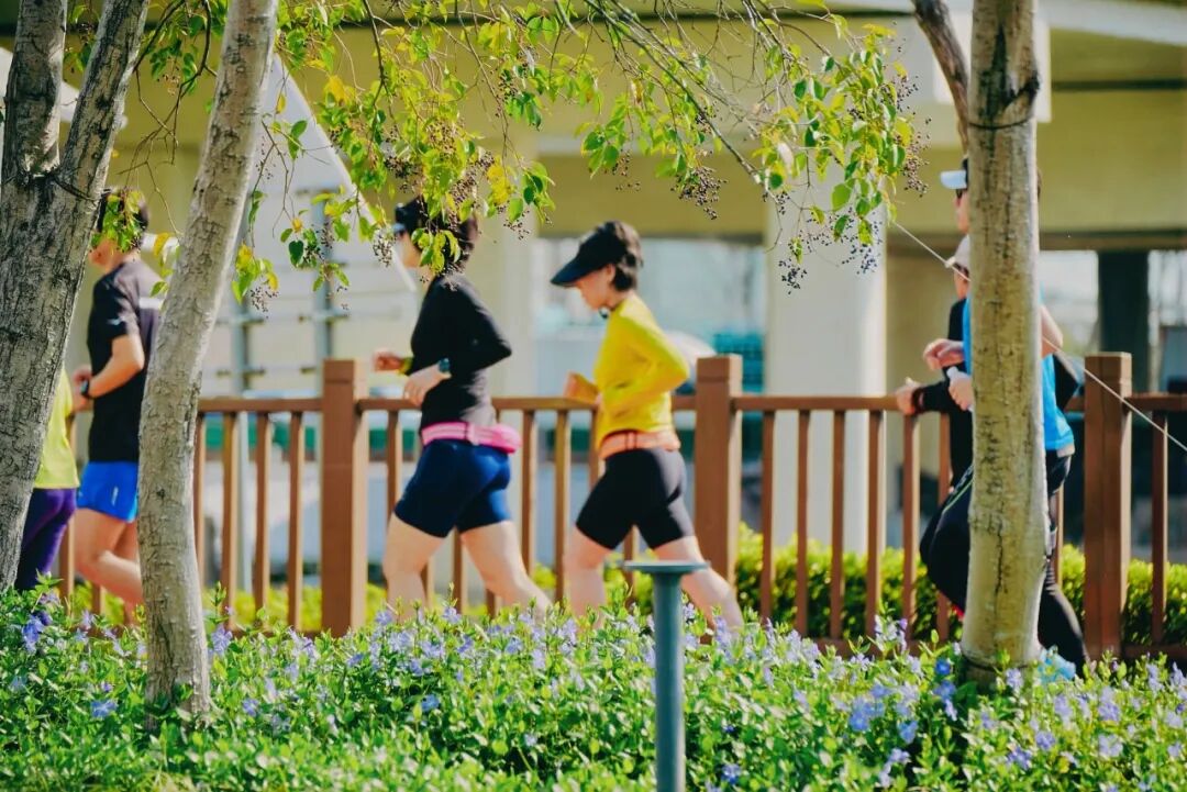 数百人加入跑步社团，临空园区的运动氛围有多浓
