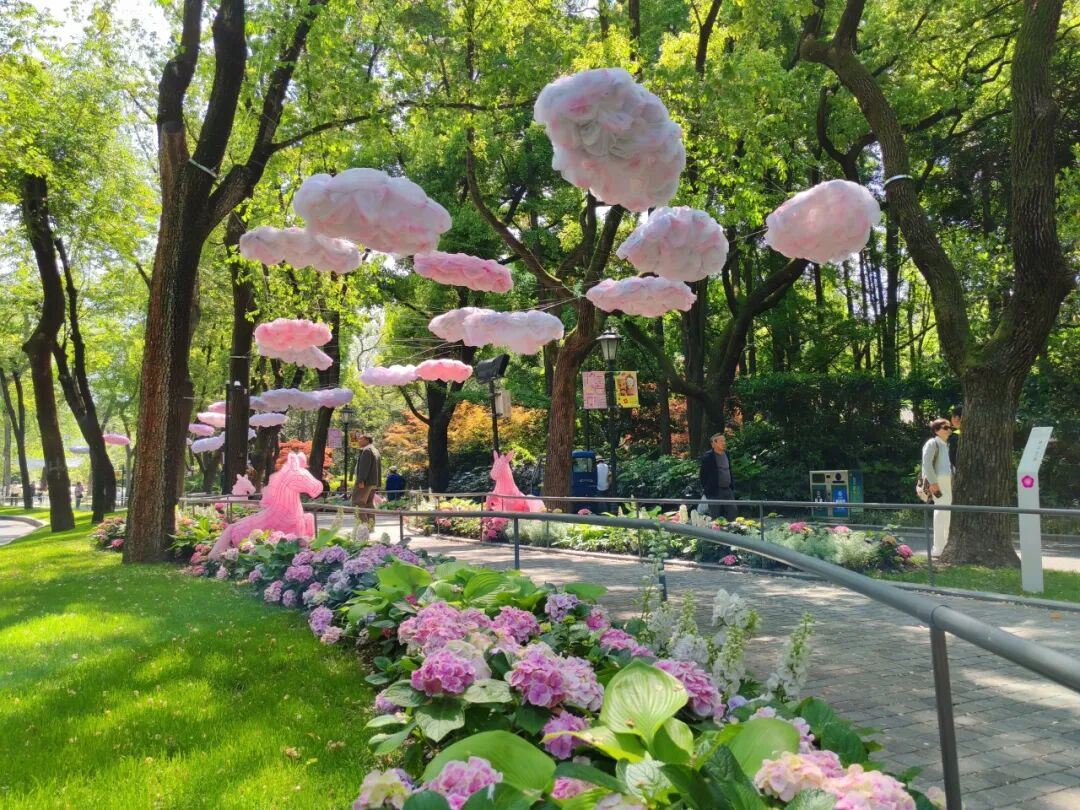 盛会收官，美景不散，长宁让繁花景致常驻市民日常