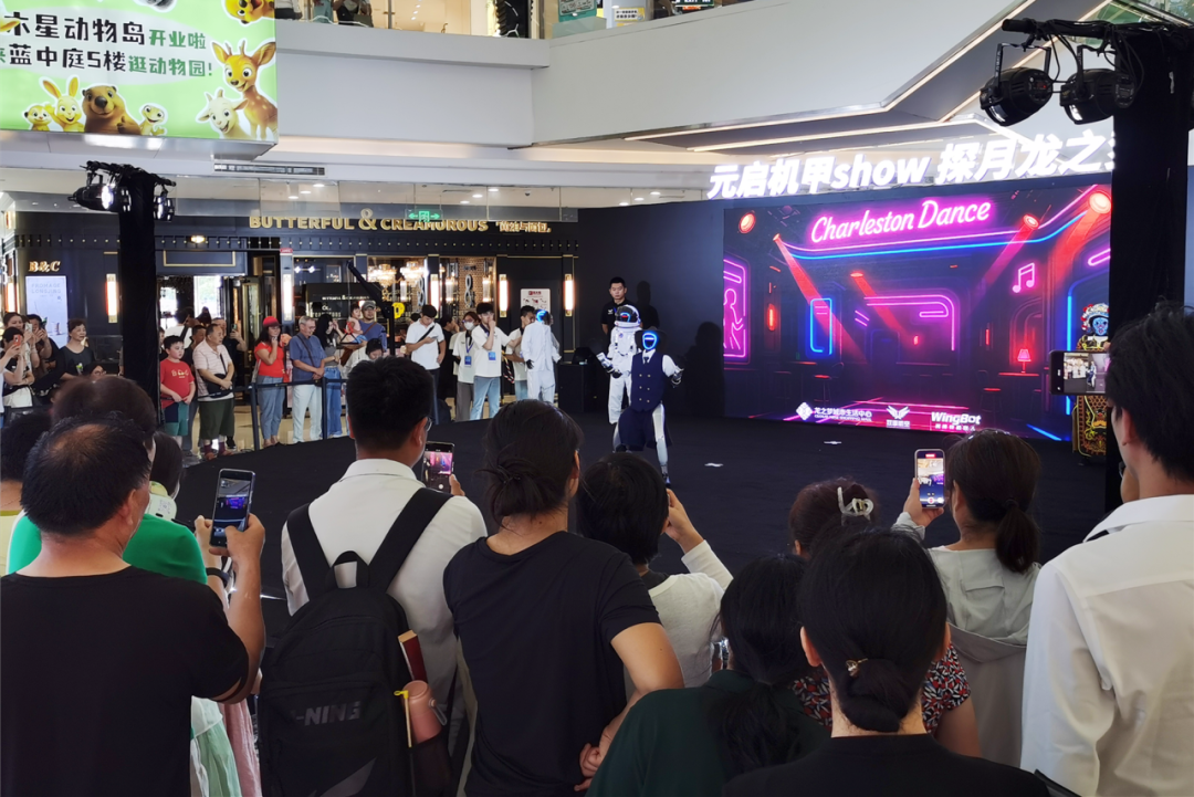 “太厉害了！”龙之梦来了一群特别的表演者