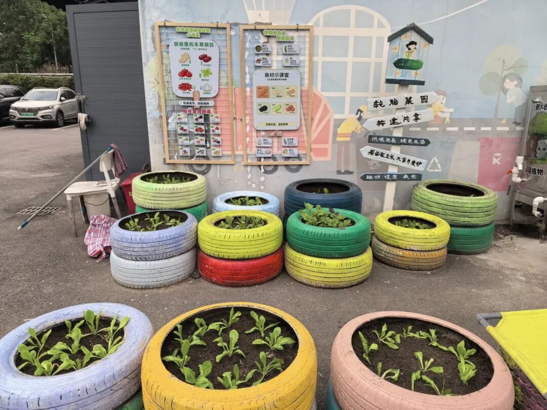 长宁这个“轮胎菜园”，在社区里落地生根