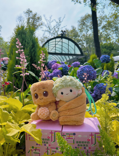 “梧梧”“桐桐”来啦，还有机会免费带回家