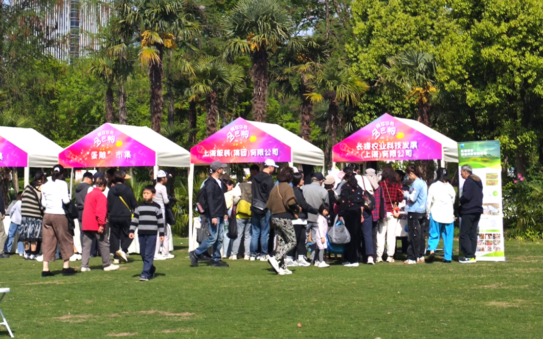 两场活动同步上演！新虹桥中心花园春日氛围感拉满