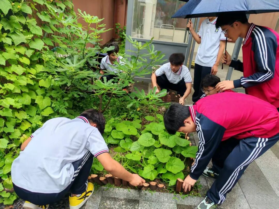 一方菜园，两地情深：云南班师生在仙霞社区种下“同心”种子