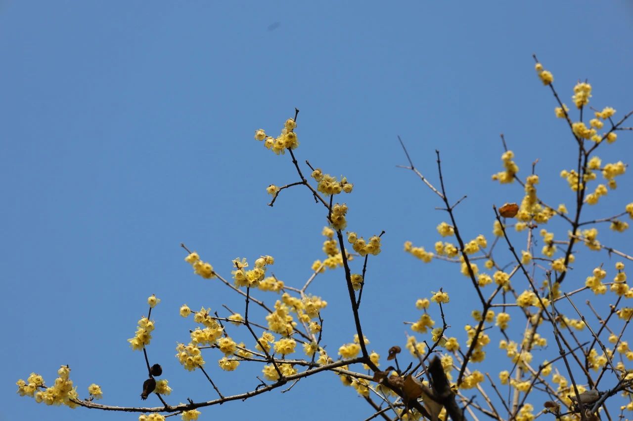 image011.jpg