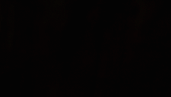 5.gif