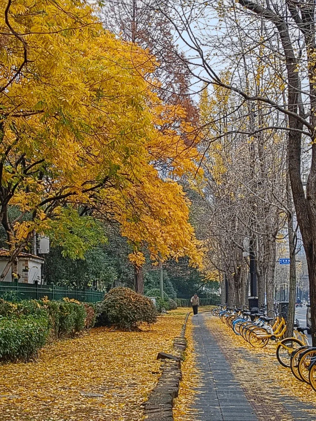 154843489459f98c08307396cbafb966