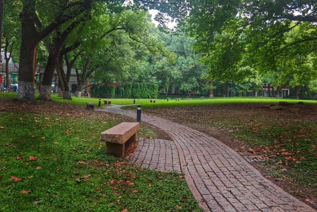 来苏州河畔的百年校园，觅一处清凉