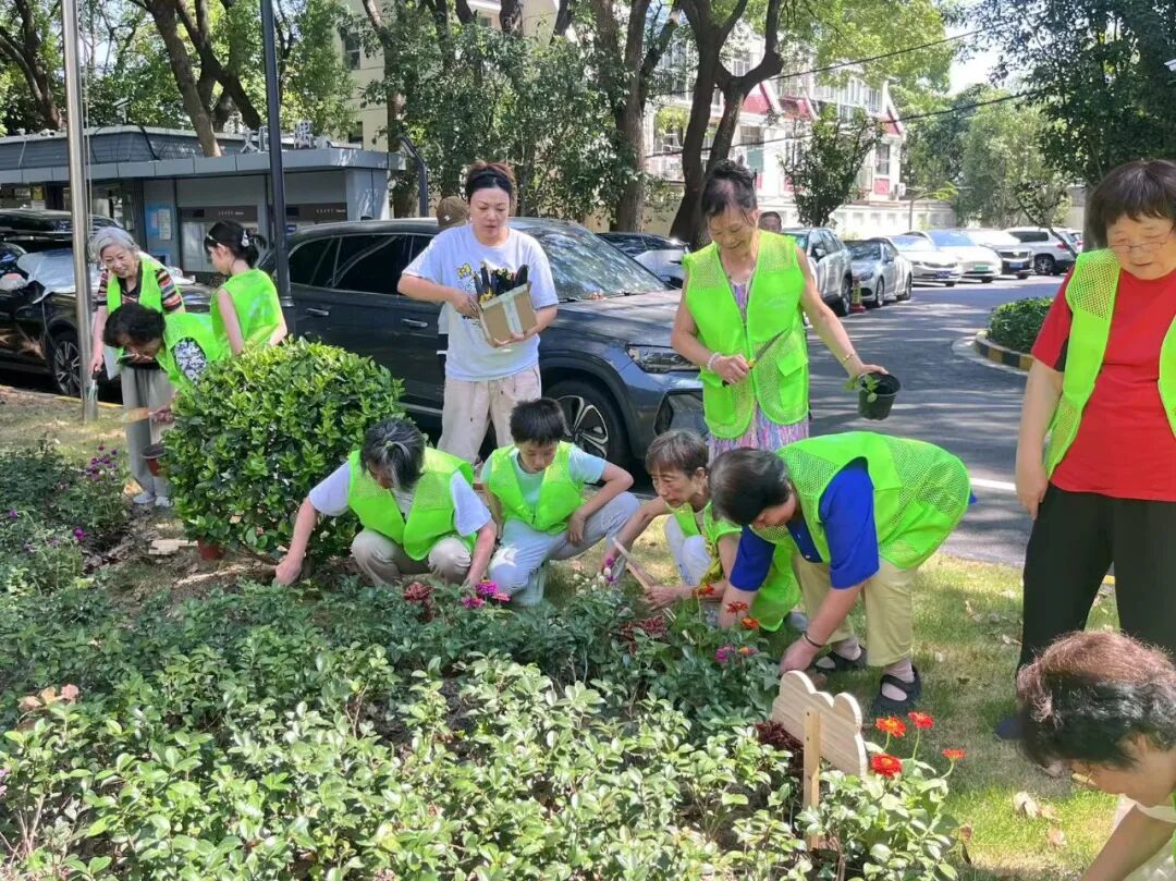 “盲盒式”种植，让小区的绿化变了样
