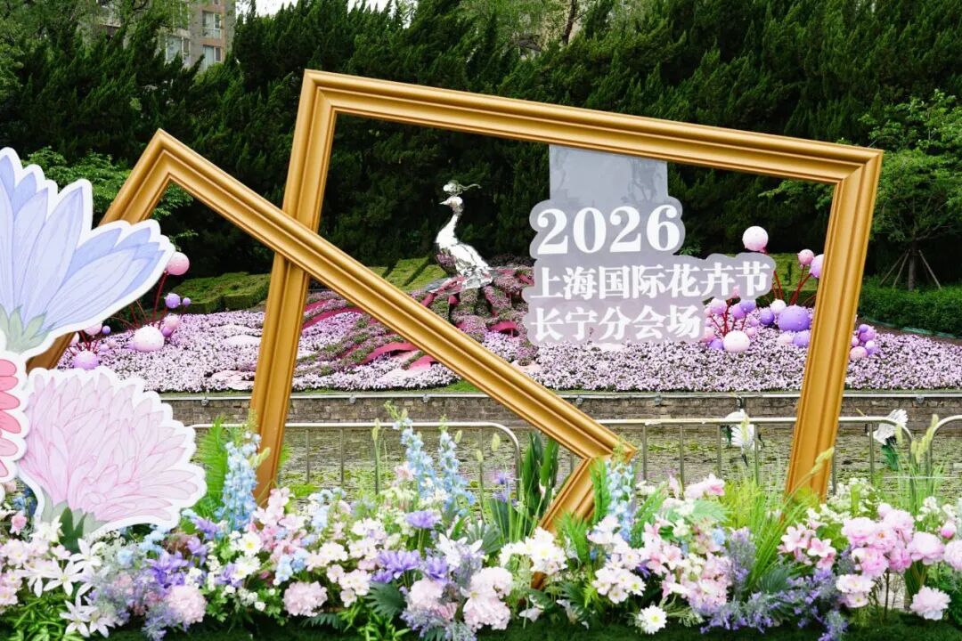 一大波美图抢先看！即将举办花卉节的长宁可太美了……