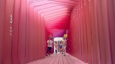 5.gif