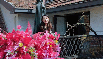 14.gif