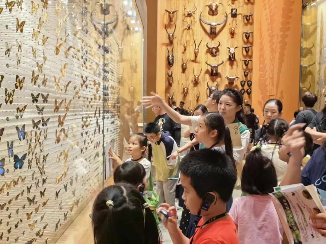 这场生境课堂研学之旅，让孩子们探秘昆虫世界