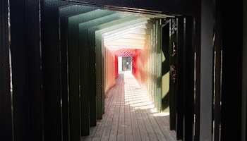 4.gif