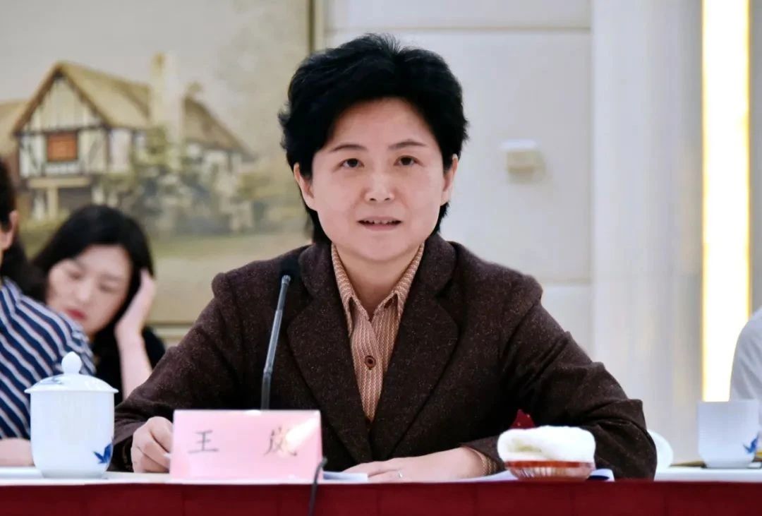 王岚指出, 数字化转型是长