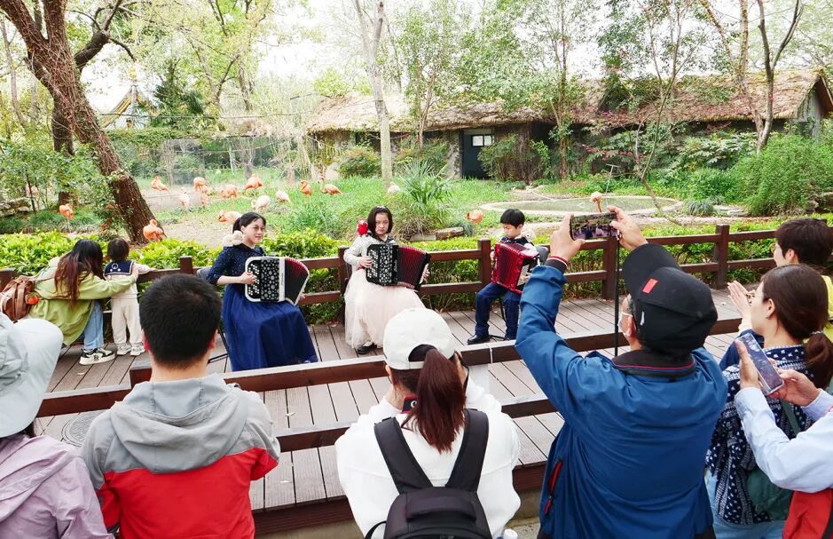 上海动物园化身“萌趣”舞台