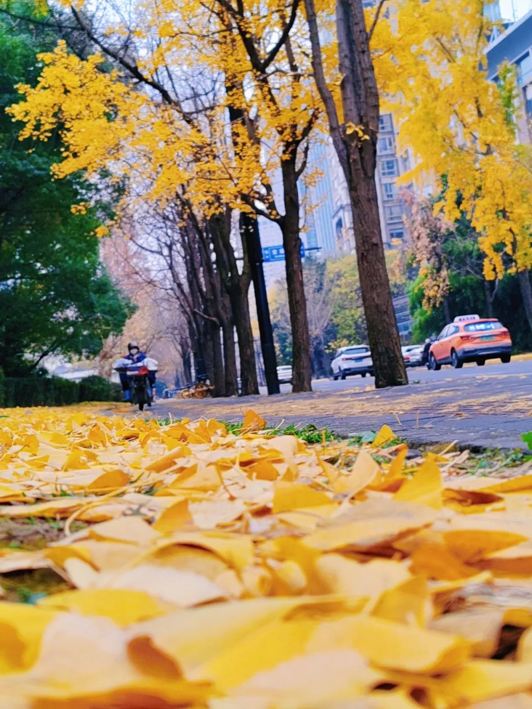 78f1c6bde0fd38e06120f2a8a331c354