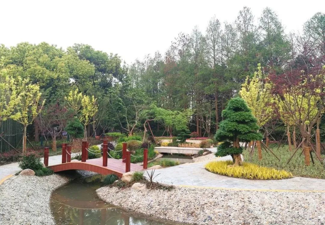 口袋公园8.jpg
