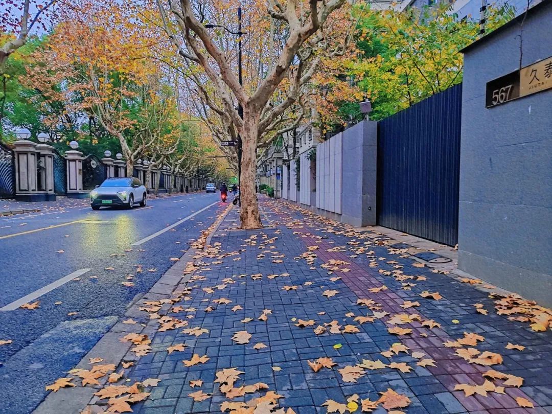 060aa6afae88935823799aec32aa60a4