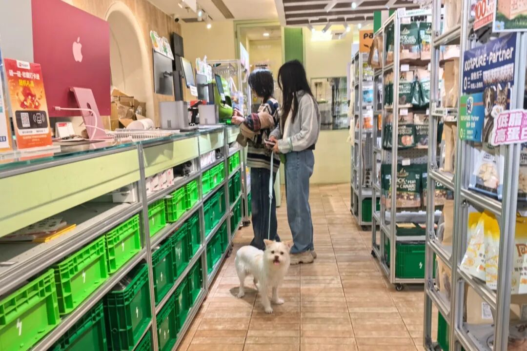 长宁这两家“宠物百货”，“毛孩子”来了就不想走~