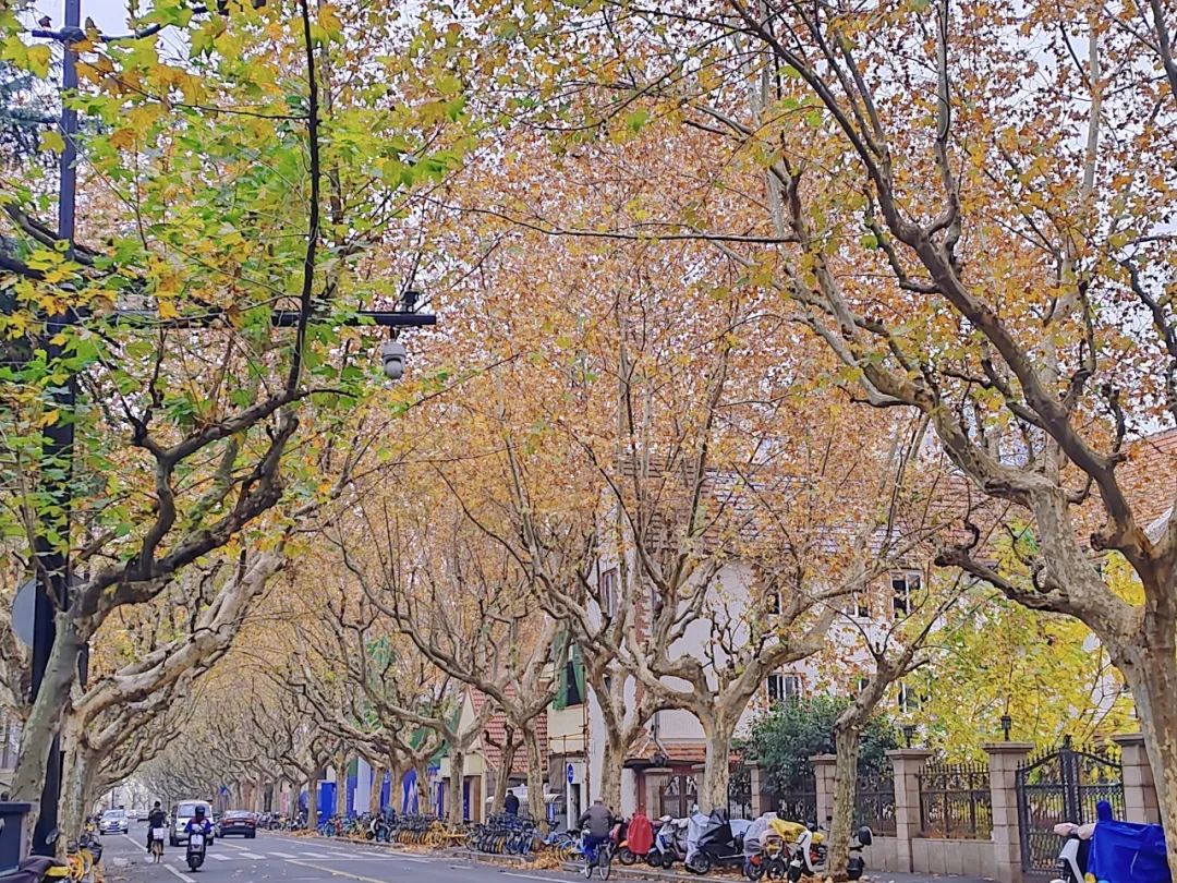 9249e4a54851b7c3c2b4dec26517caf5