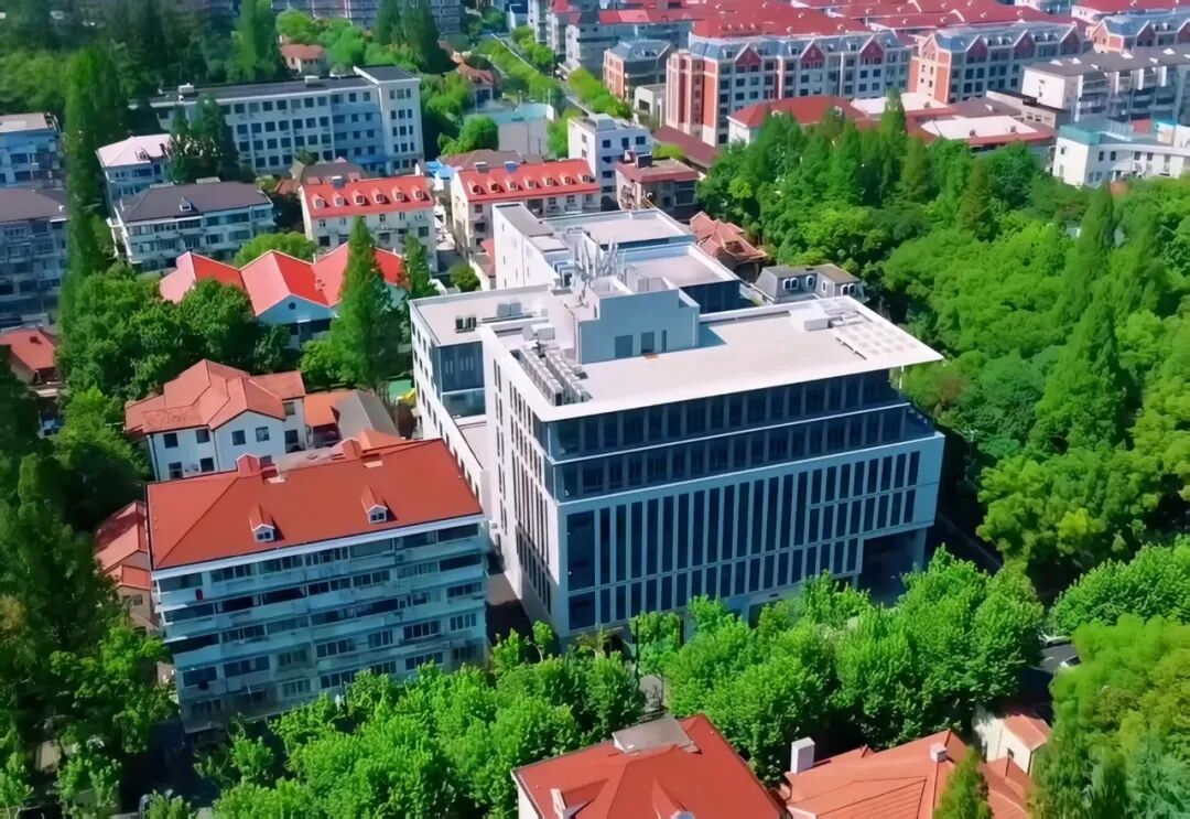 奋进中的长宁丨科创回归都市，长宁如何书写高分答卷？