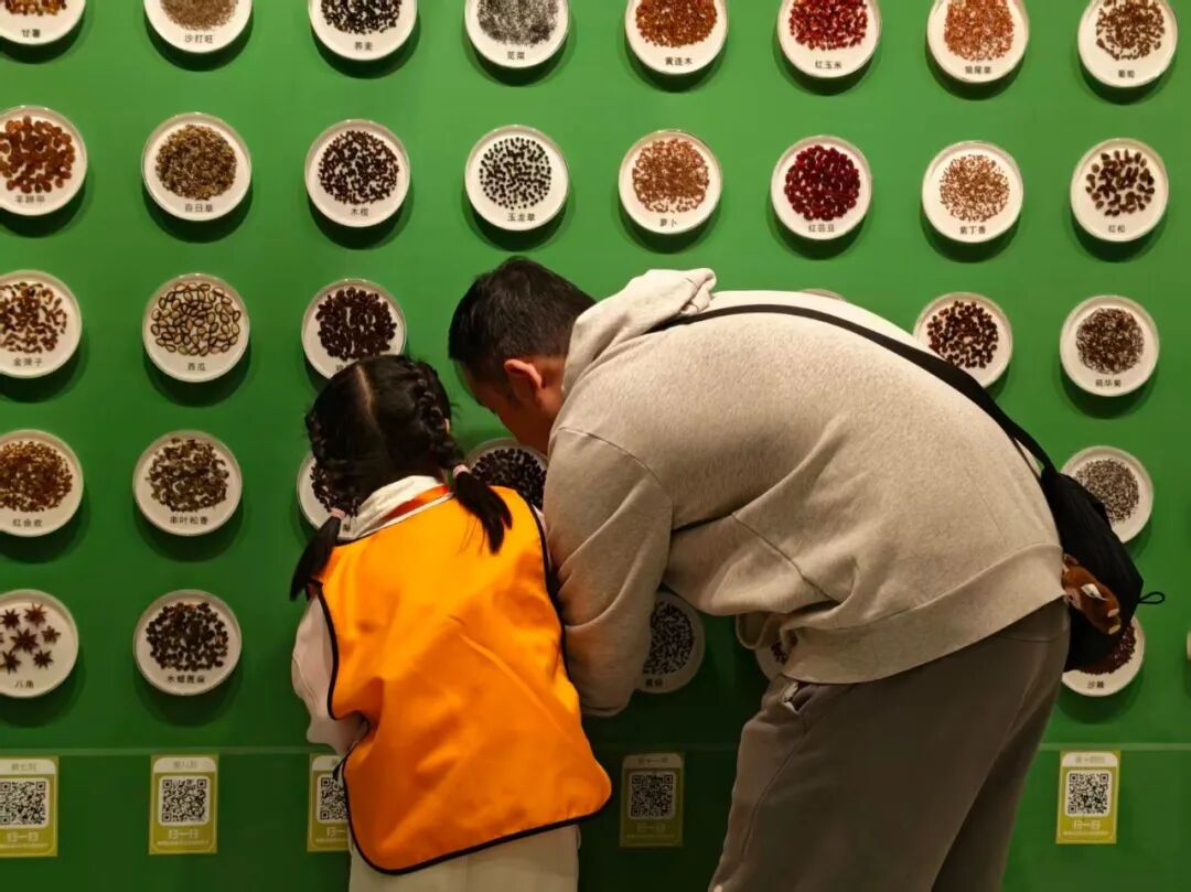 出发！与“星星的孩子”共赴春日探索之旅