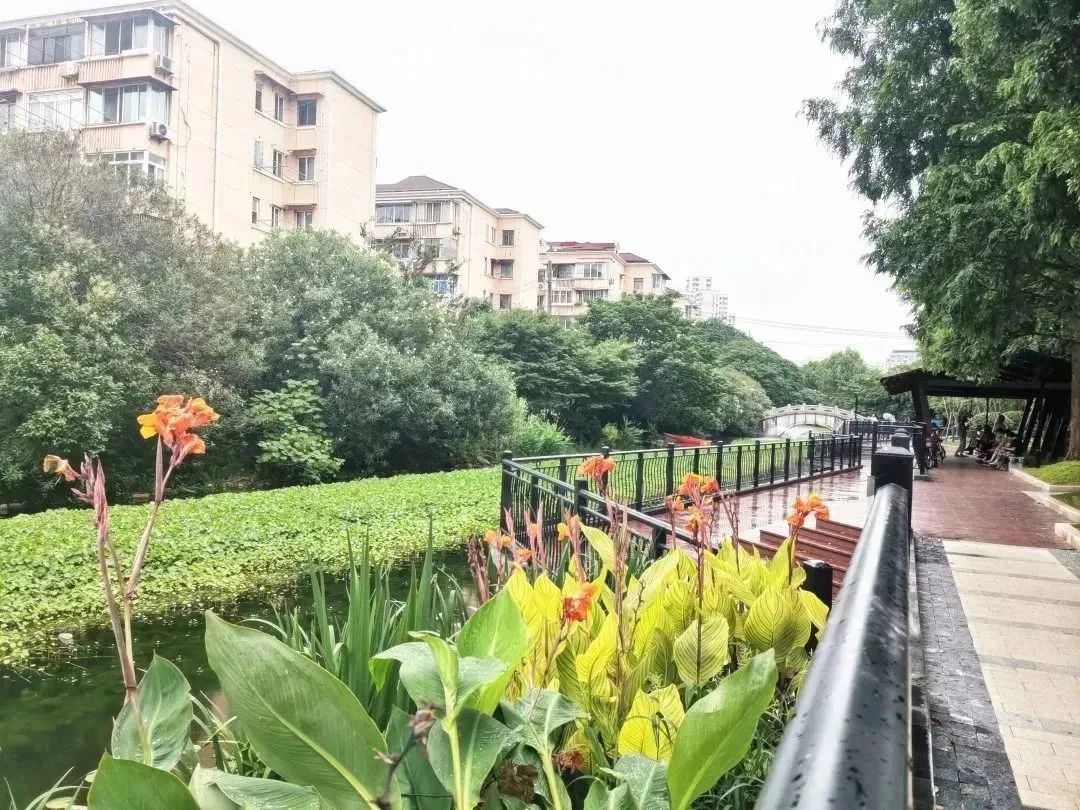 口袋公园11.jpg